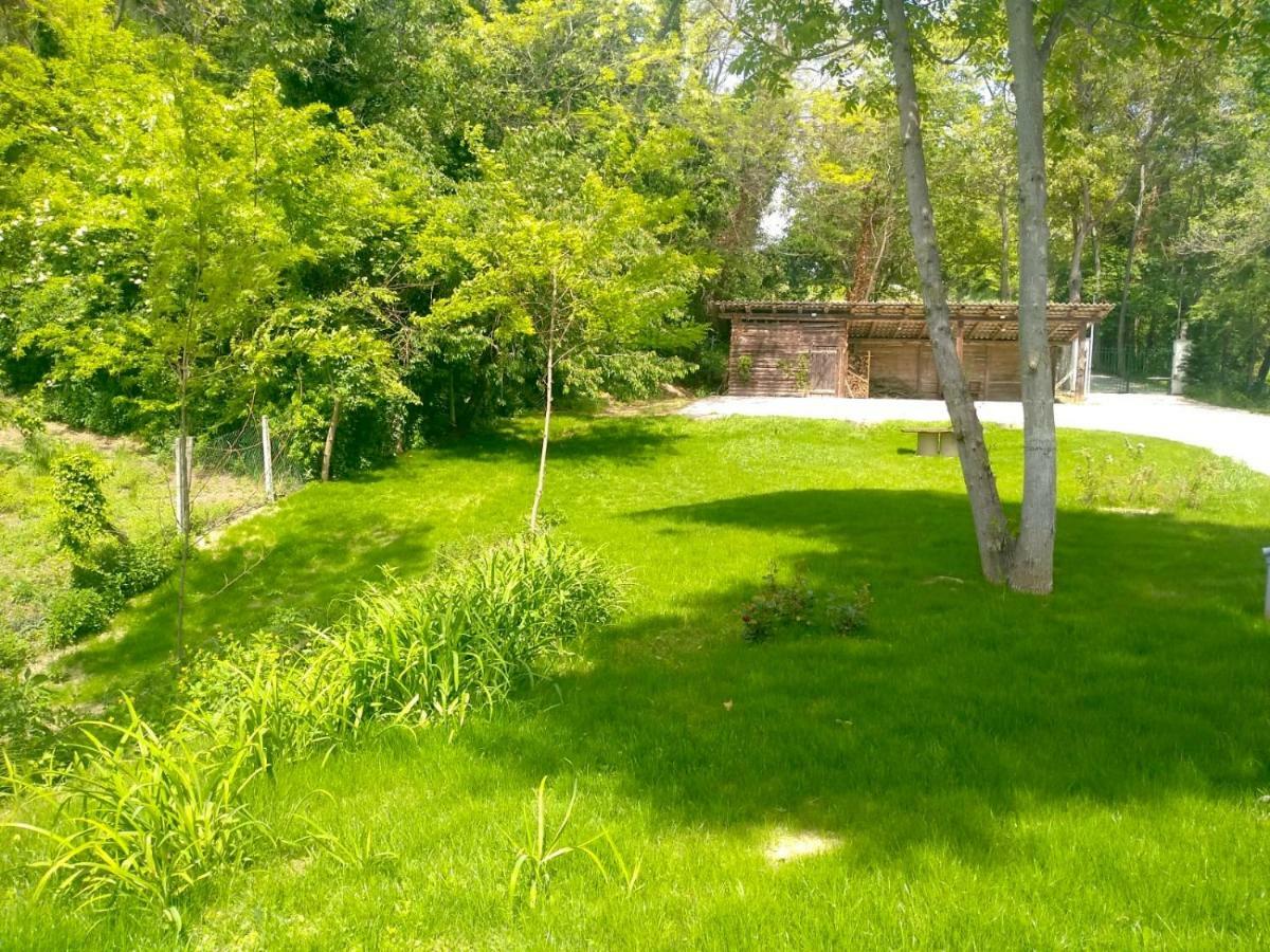 America Nei Boschi B&B Bra Ngoại thất bức ảnh